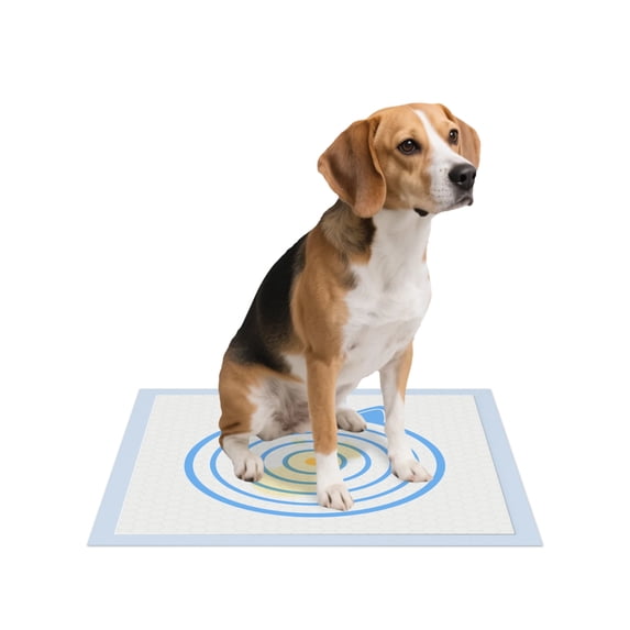 Dog Training Pads - L - 100CT