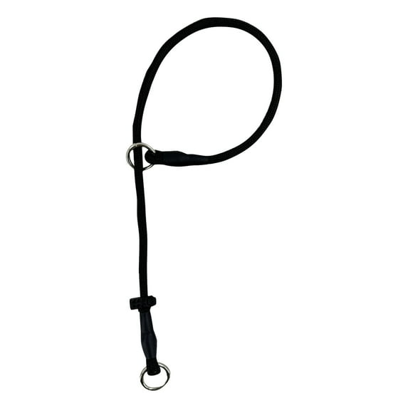 Dog Training Traction Rope - Explosion-Proof, Adjustable, P-Chain Structure, High-Strength Material, Reflective, for Behavior Correction & Walking