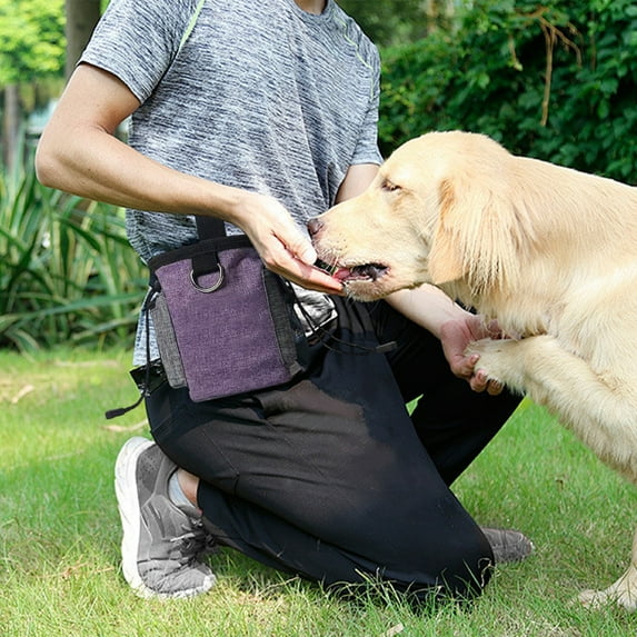 Dog Training Waist Bag | Outdoor Pet Food & Treat Pouch | Waterproof Oxford Cloth | Multi-Pocket Design | Drawstring Closure | 15X15X3Cm Snack Bag for Hiking & Walking