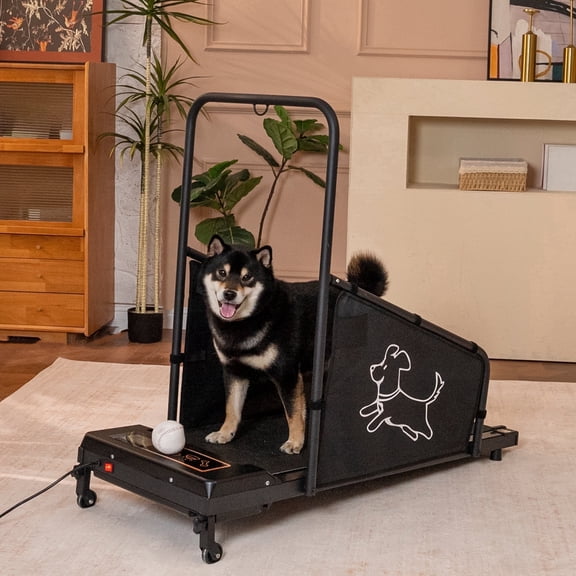 Dog Treadmill for Medium Dogs - Dog Pacer Treadmill for Healthy & Fit Pets