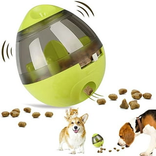 Green Mini Interactive Dog Feeder - Ready to Ship- Thick Poplar
