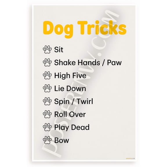Dog Tricks Training Commands Sit Paw High Five Educational 12x18 US Made Poster