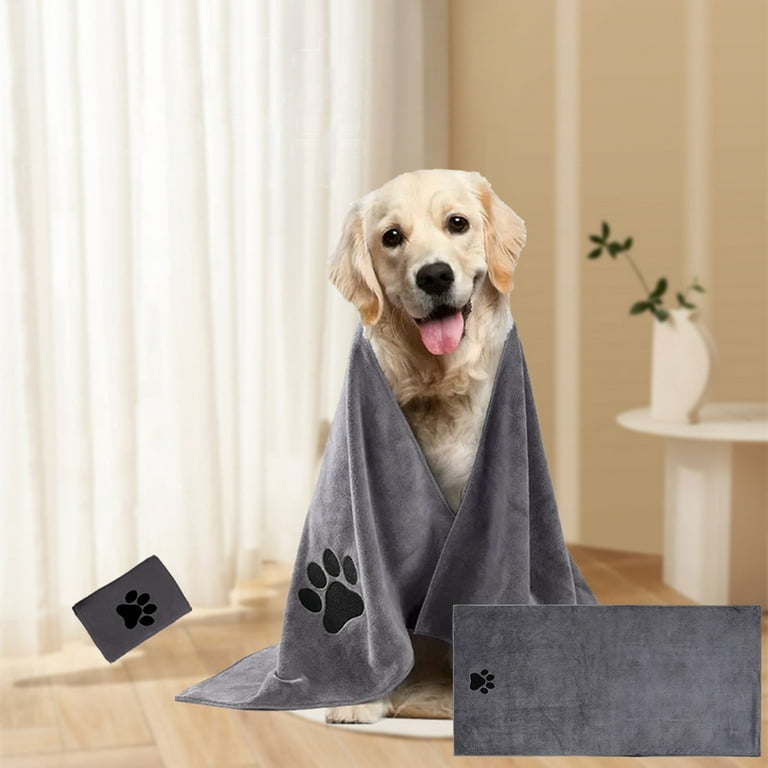 Labrador puppy accessories discount