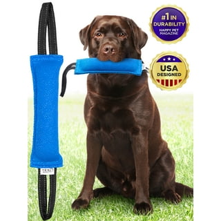 https://i5.walmartimages.com/seo/Dog-Tug-Toy-Bite-Pillow-Blue-w-Nylon-Handles-Training-Equipment-for-Large-Dogs-Puppies-by-Yes4Quality_e1ddb571-5dd3-407a-a021-d43400304ee0.29bcbaeddf94996729a547b69c6b1726.jpeg?odnHeight=320&odnWidth=320&odnBg=FFFFFF