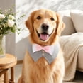 thumbnail image 1 of Dog Tuxedo Suit Bandanas Wedding Outfit with Bow Tie Collar for Medium Dogs,Formal Dog Costume Adjustable Pet Bandana with Bowtie Wedding Birthday Tux Collar for Medium Dogs Light Gray L, 1 of 4
