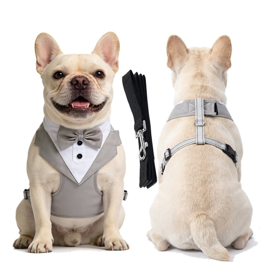 Dog Tuxedo with Chest Strap and Leash, Pet Suit Set for Small Medium Dog Formal Occasion Dress Up Festival Party Photo Prop Gray XL