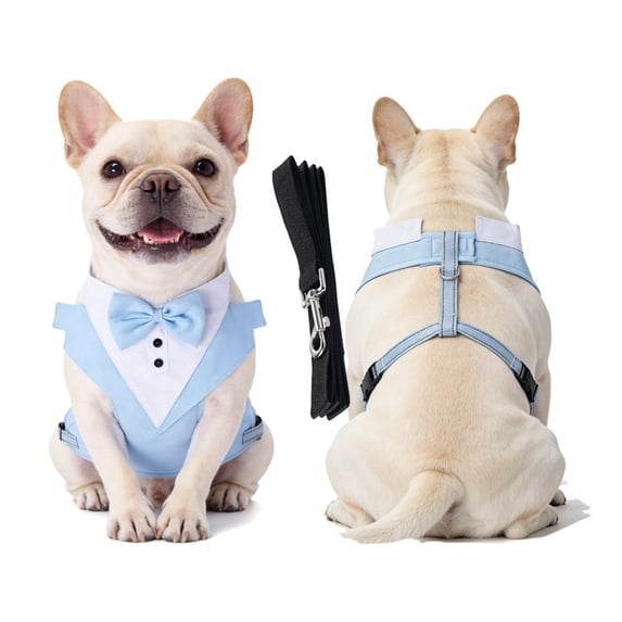 Dog Tuxedo with Chest Strap and Leash, Pet Suit Set for Small Medium Dog Formal Occasion Dress Up Festival Party Photo Prop Light Blue S