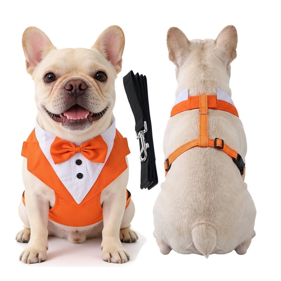 Dog Tuxedo with Chest Strap and Leash, Pet Suit Set for Small Medium Dog Formal Occasion Dress Up Festival Party Photo Prop Orange S