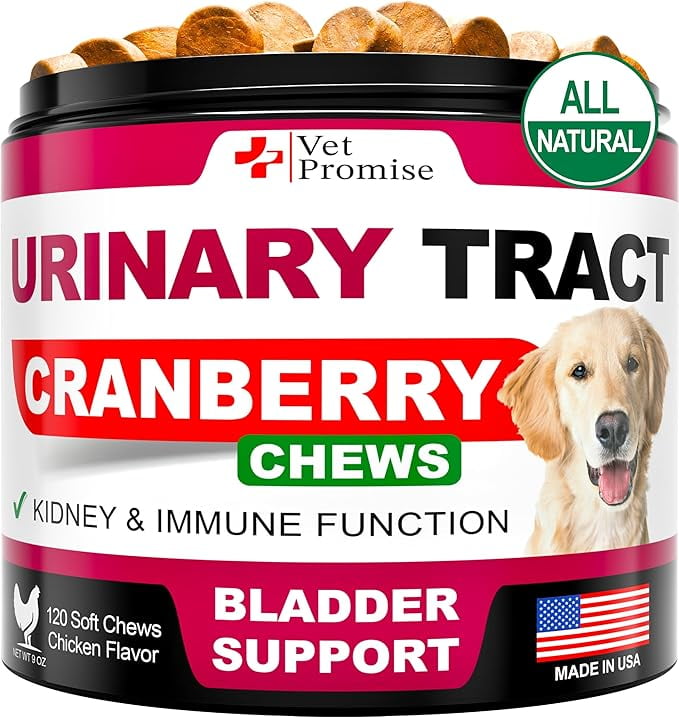 Dog UTI Treatment Cranberry Supplement for Dogs UTI Bladder Control