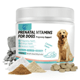 thumbnail image 1 of Mr Ros Pregnancy & Nursing Support Prenatal Vitamin Soft Chews for Dog, Chicken Flavor, 120 Count Jar, 1 of 7