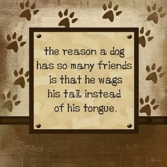 Dog Wags Tail Canvas Art - Jennifer Pugh (24 x 24)