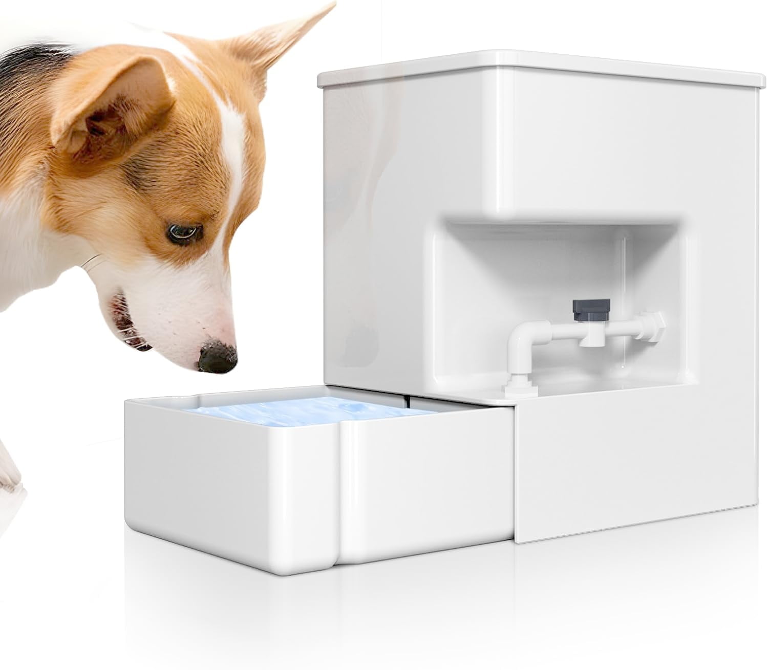 Tapeta Automatic 8L Gravity Water Bowl Dispenser for Dogs and Cats, Large Capacity Floating Ball Feeder