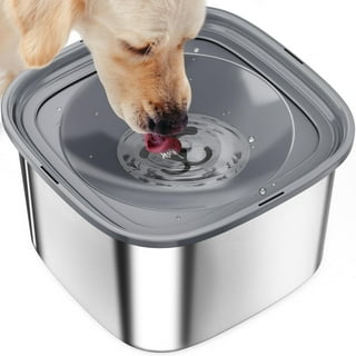 Slow Drinking Water Bowl