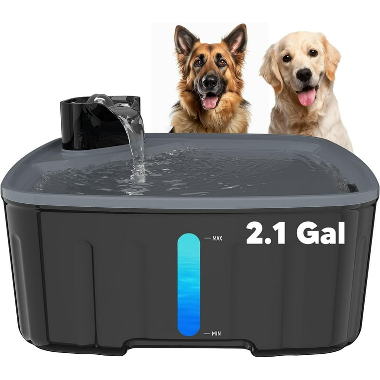 Big dog water fountain pump store