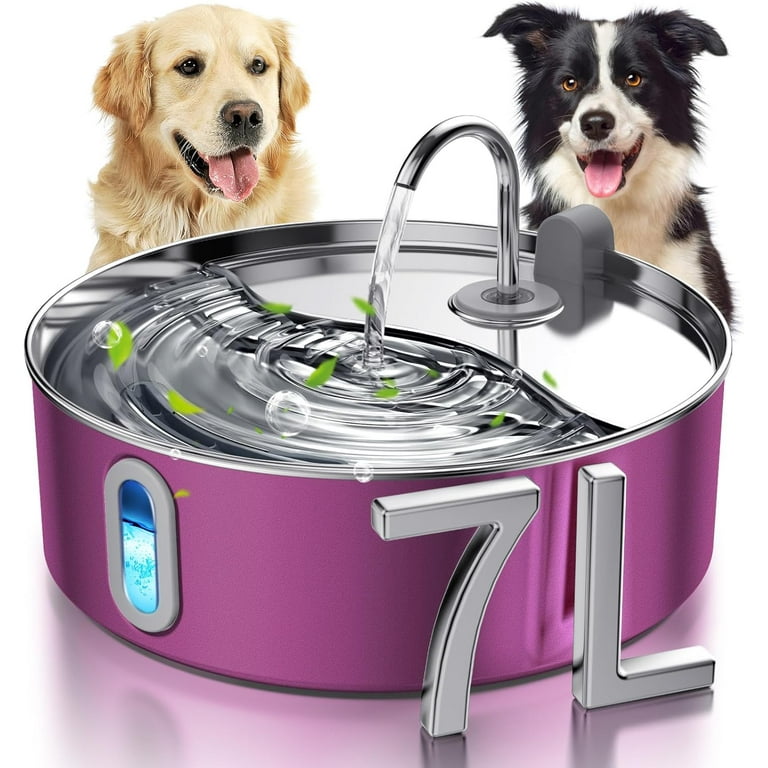 Dog water pump 2025