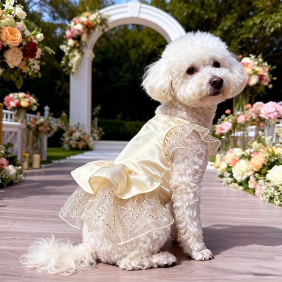 Dog Wedding Dress for Small Medium Dogs, Bridal Party Gown with Tulle Skirt, Summer Breathable Adjustable Beige Outfit for Weddings & Photoshoots