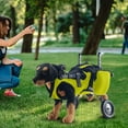 thumbnail image 1 of Dog Wheelchair for Back Legs,Adjustable Dog Wheelchair Cart,Doggy/Cat Wheelchairs with Disabled HindLegs Walking,Mobility Aid for Small Pets HindLimbs with Wheels,Light Weight, 1 of 7