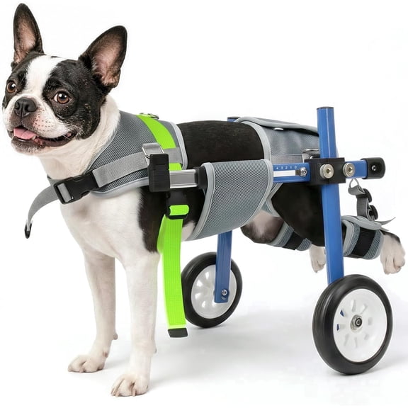 Dog Wheelchair for Back Legs XXS Blue, Adjustable Pet Mobility Cart with Thick Harness Support, Lightweight Dog Cart for Disabled Dogs