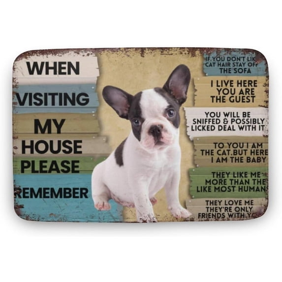 Dog When Visiting My House Please Remember Dog Door Mat Doormat Outdoor Entrance Front Porch Door Mat Easy to Clean Entry Mat Outdoor and Indoor Gift for Women Men 18x30 Inch