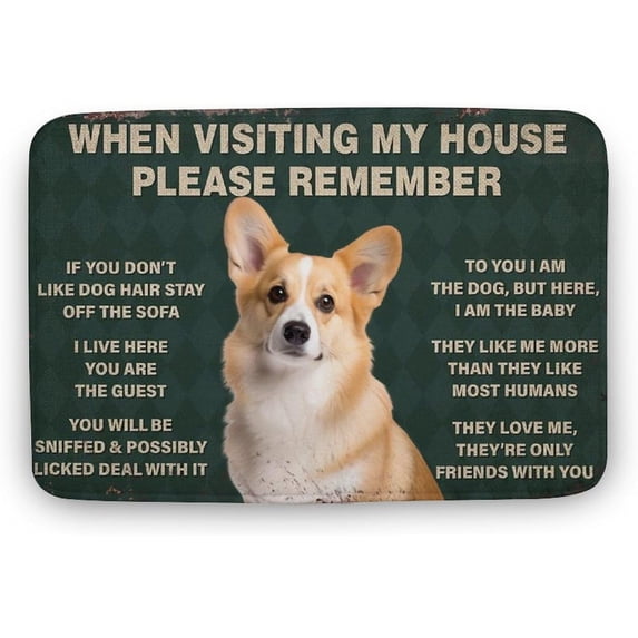 Dog When Visiting My House Please Remember Dog Indoor Door Mat Front Door Mat Non-Slip Entrance Rug Non Slip Inside Entry Door Rugs for Entryway Dog Door Mat Gift for Women 16x24 Inch