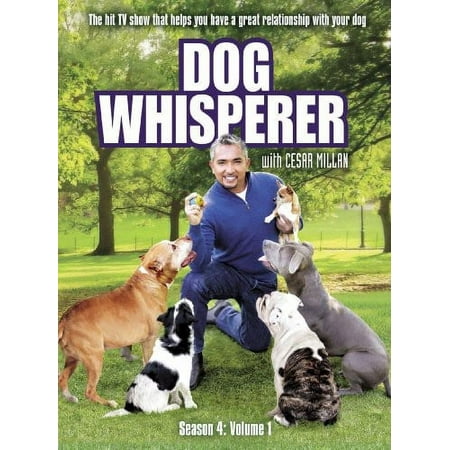 Dog Whisperer: Season 4 (DVD)
