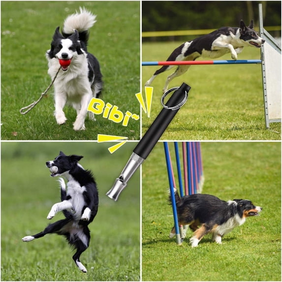 Dog Whistle, Dog Whistle 2-Pack - Adjustable Silent Whistles for Dog Training, Bark Control, and Recall, Includes Lanyard for Easy Carry