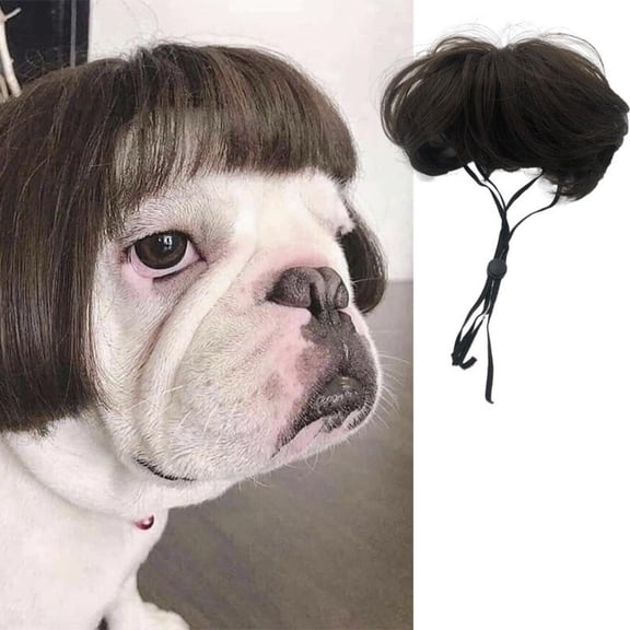 Dog Wig Funny Dog Costumes Halloween Decor with Adjustable Rope