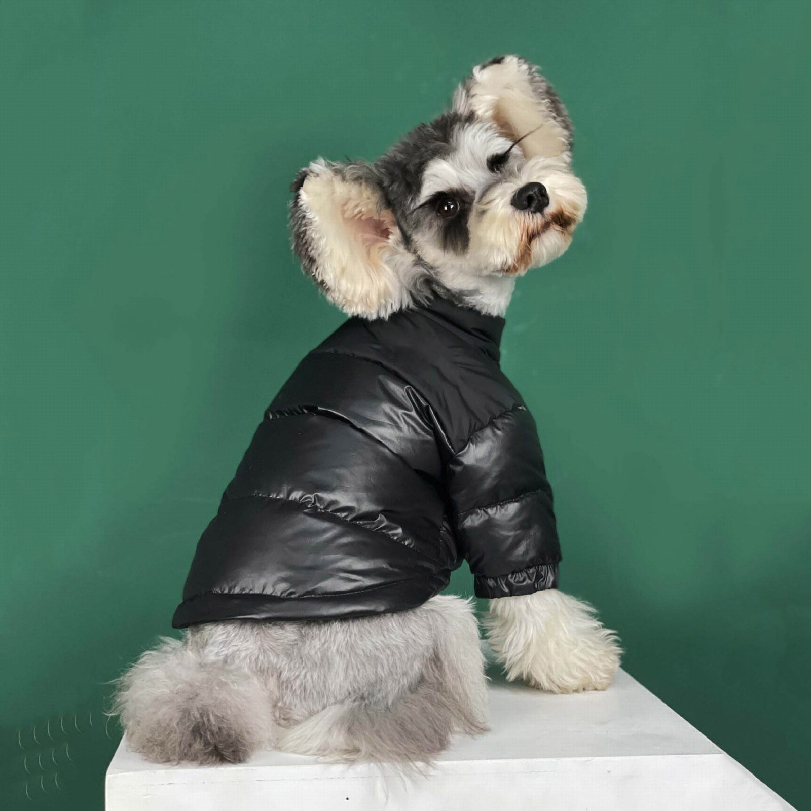 Dog Winter Coat Down Jacket for Small Medium Dogs Thicken Dog Coat Windbreaker Puppy Winter