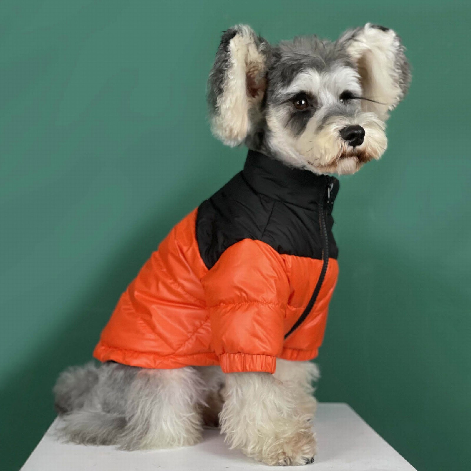 Dog Winter Coat Down Jacket for Small Medium Dogs Thicken Dog Coat Windbreaker Puppy Winter