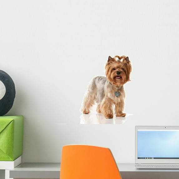 Dog Yorkie Puppy White Wall Decal by Wallmonkeys Peel and Stick Graphic (18 in H x 14 in W) WM92154