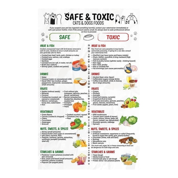 Dog and Cat Nutrition Chart, Safe vs Toxic Foods List, Preventive Care Health Poster for Pet Owners and Vet Offices