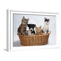 Dog and Cats Three Kittens and a Puppy Sitting in Basket, Animals Framed Art Print Wall Art Sold by Art.Com