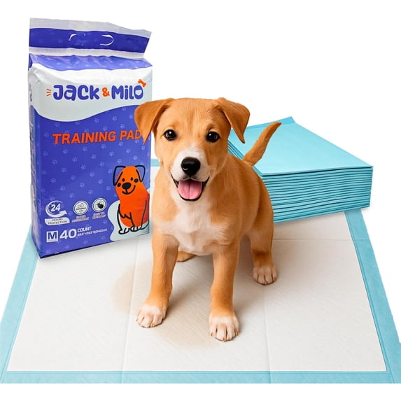 Dog and Puppy Pads - Leak-Proof and Quick-Dry Surface- Regular Size -40 Units