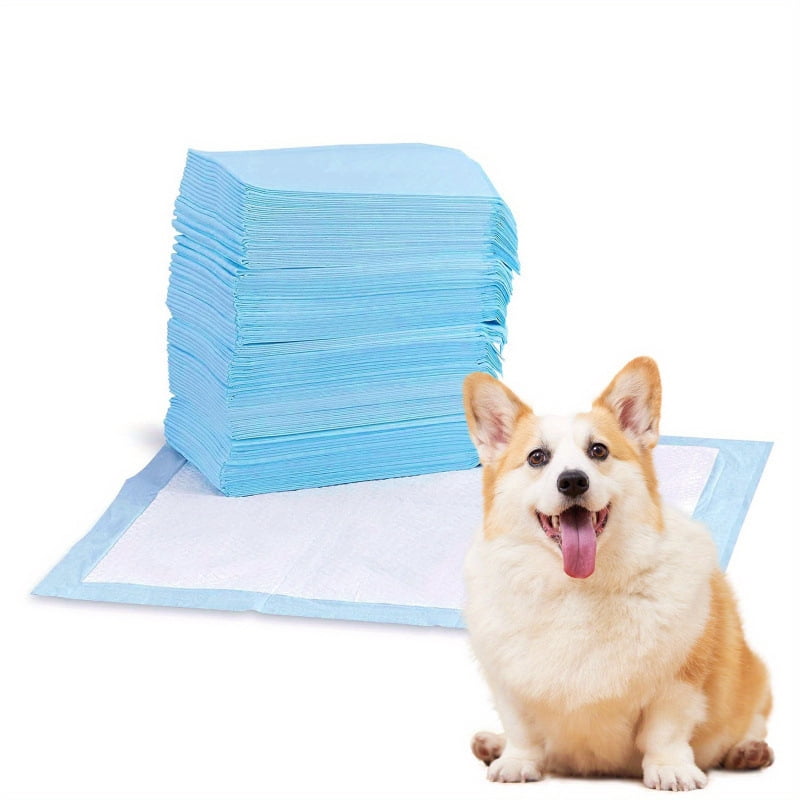 Dog and Puppy Potty Training Pee Pads, Large Disposable Absorbent Dog Pee Pads, Size 24 x 24 inch, Blue & White, 50 Count