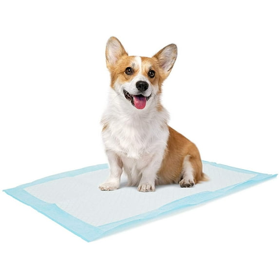 Dog and Puppy Training Pads (13"*18" (33*45cm) - 100 Counts)