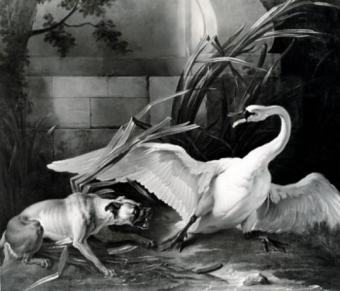 Dog and Swan by Jean-Baptiste Oudry 1686-1755 Canvas Art - (24 x 36)