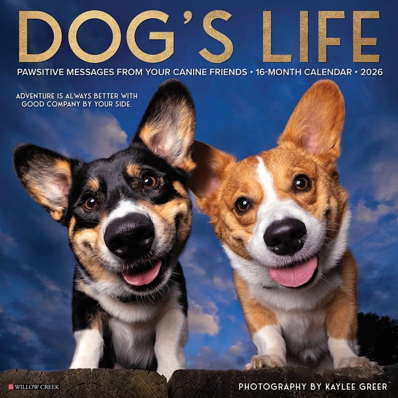 Dog's Life 2026 Wall Calendar, (Paperback)