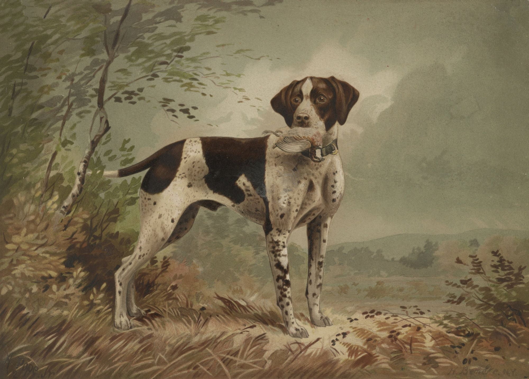 Dog c1879 Canvas Art - Herman Bencke (18 x 24)