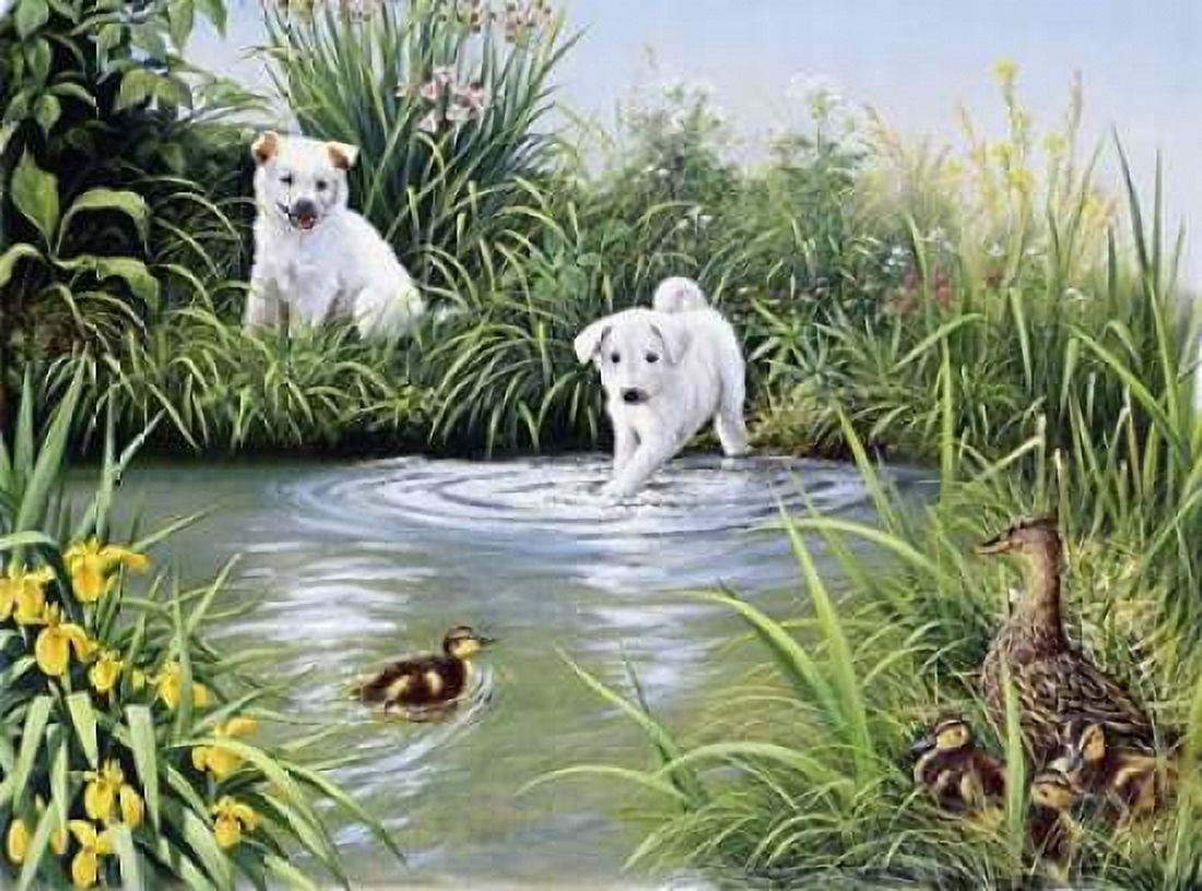 Dog challenge Canvas Art - Peter Motz (18 x 24)