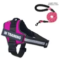 thumbnail image 1 of Dog collar Harness ID Custom Patch,Reflective Breathable No Pull Vest for Small Bag Dog，Dog Harness for puppy,Walk Dog Supplies (Rose Red,XS), 1 of 7