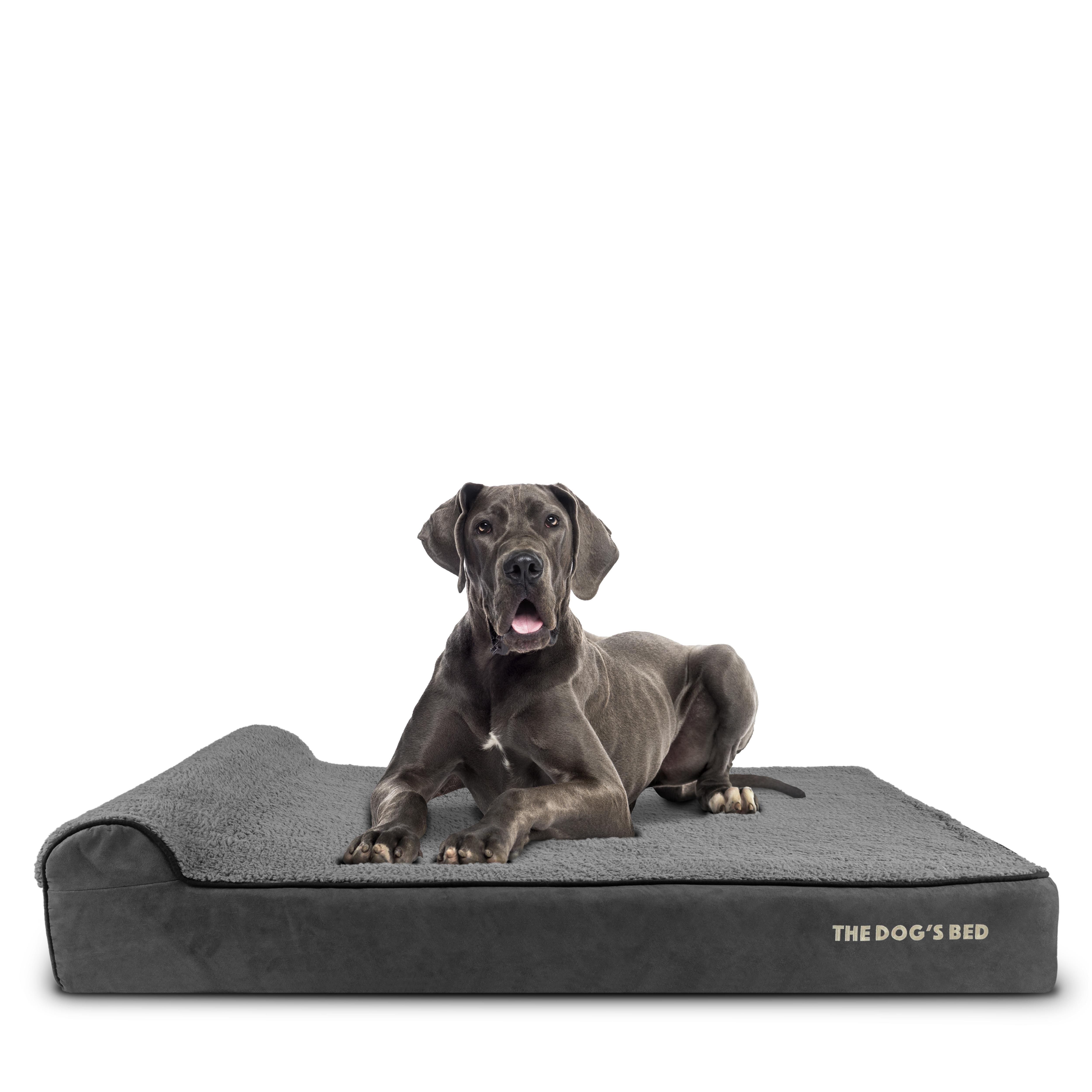 The Dog’s Bed Orthopedic Headrest Dog Bed XXL Grey Plush 54x36, Memory Foam, Pain Relief for Arthritis, Hip & Elbow Dysplasia, Post Surgery, Lameness, Supportive, Calming, Waterproof Washable Cover