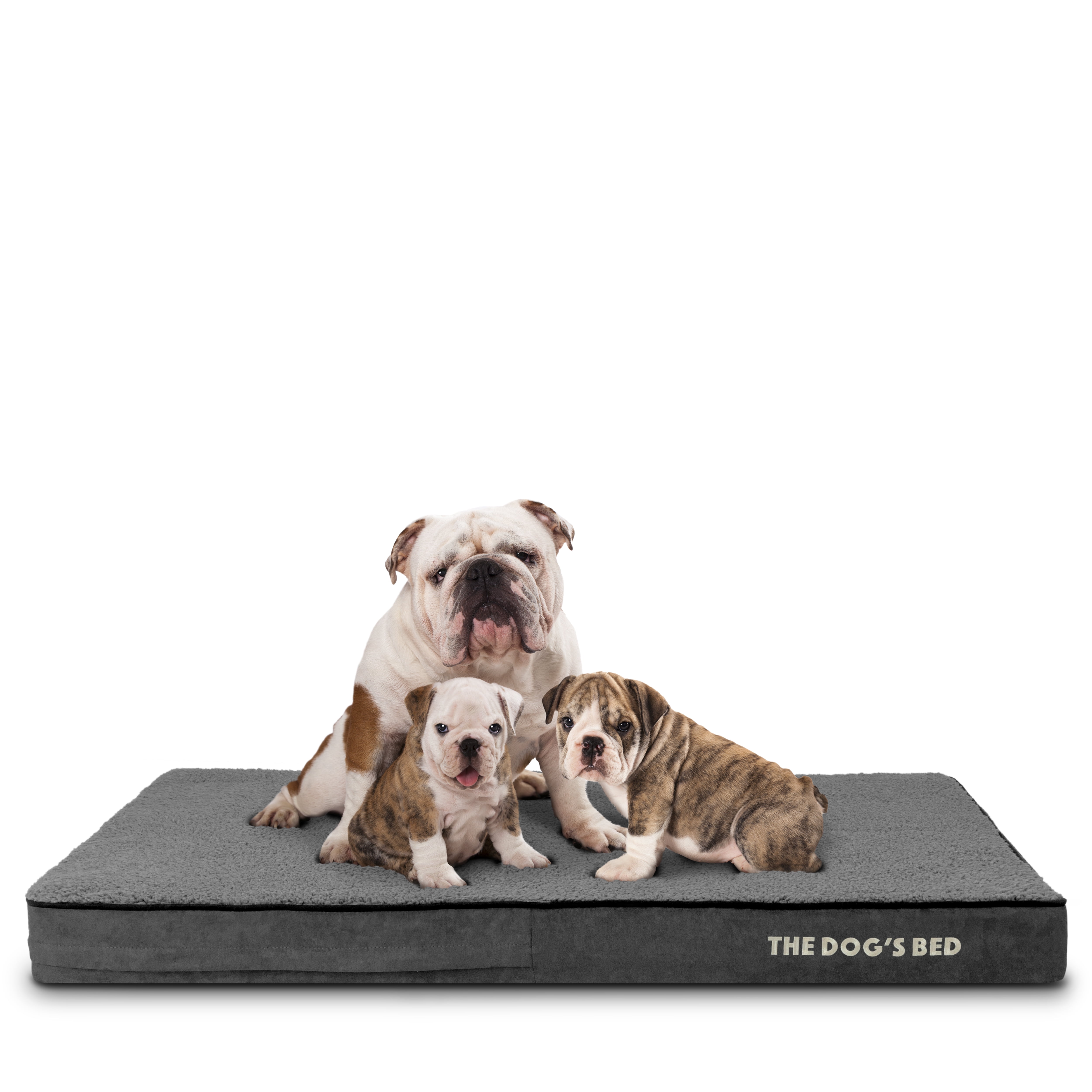 The Dog’s Bed Orthopedic Memory Foam Dog Bed, XL Grey Plush 46x28x4, Pain Relief for Arthritis, Hip & Elbow Dysplasia, Post Surgery, Lameness, Supportive, Calming, Waterproof Washable Cover