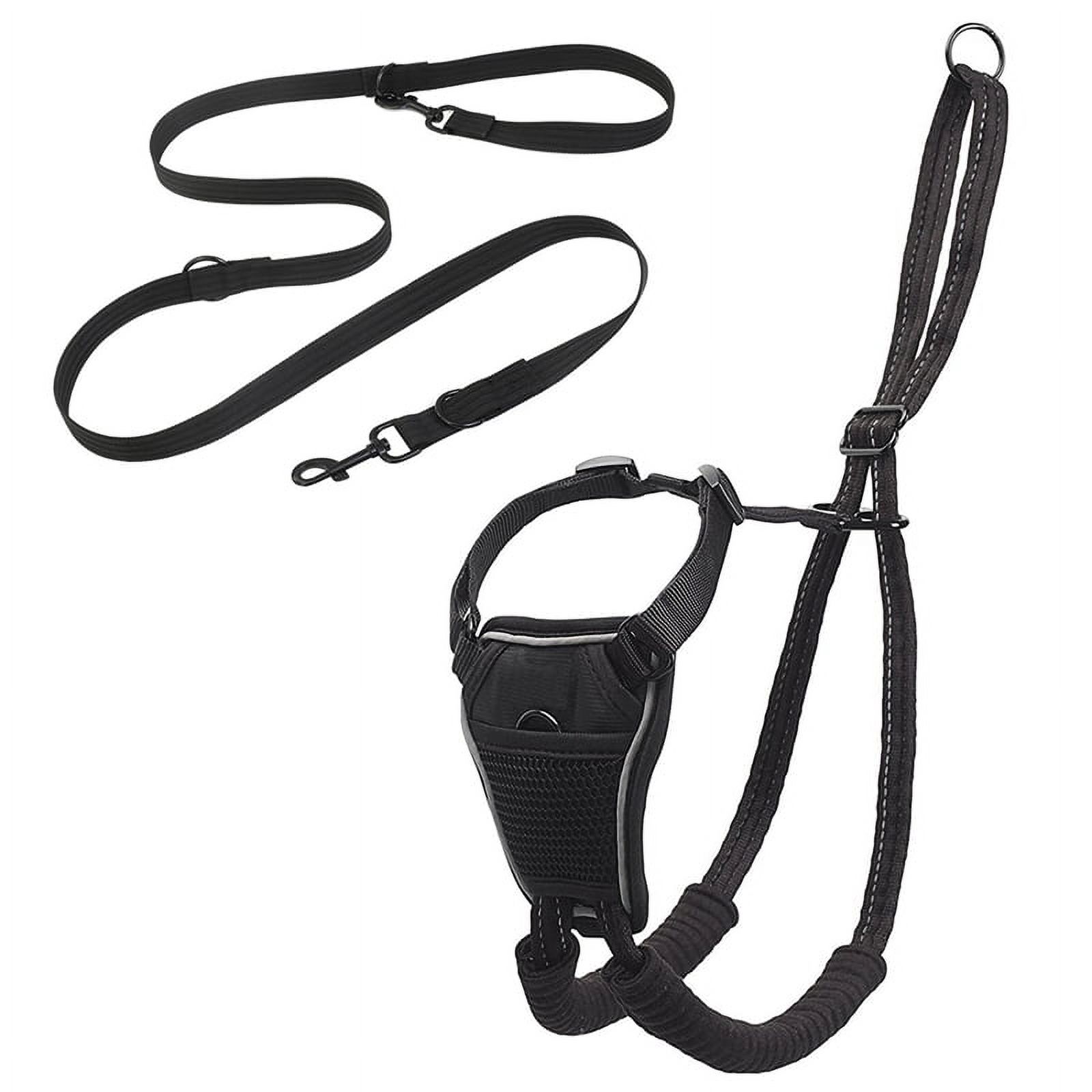 Dog's Chest Harness Leashes VestStyle Pet DoubleBuckle Leashes You