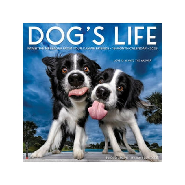 Dog's Life 2025 12 X 12 Wall Calendar