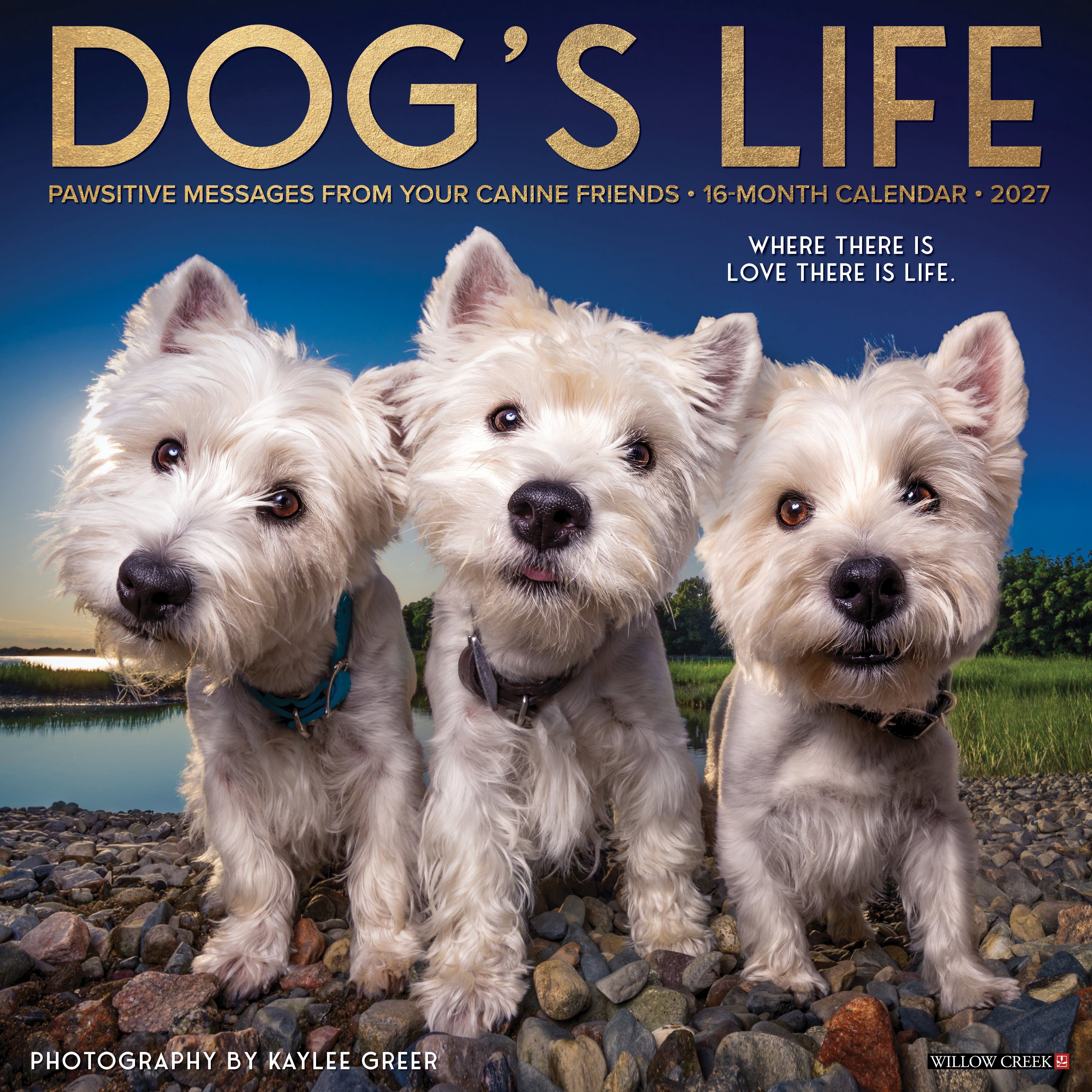 Willow Creek Press, Dog's Life 2027 Wall Calendar