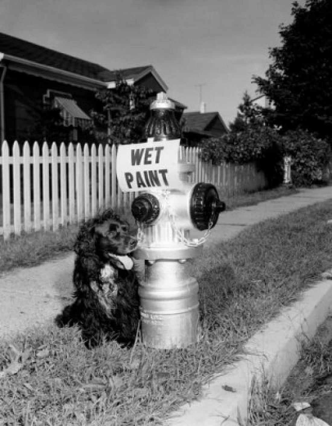 Dog sitting close to hydrant with wet paint sign Canvas Art - (18 x 24)