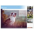 thumbnail image 1 of Dog soul (Monthly Wall Calendar 2026 16.5 x 23.4 (open)), CALVENDO 14 Month Calendar, 1 of 9