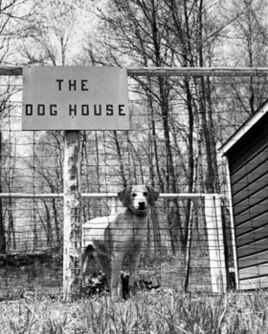 Dog standing in a kennel Canvas Art - (18 x 24)