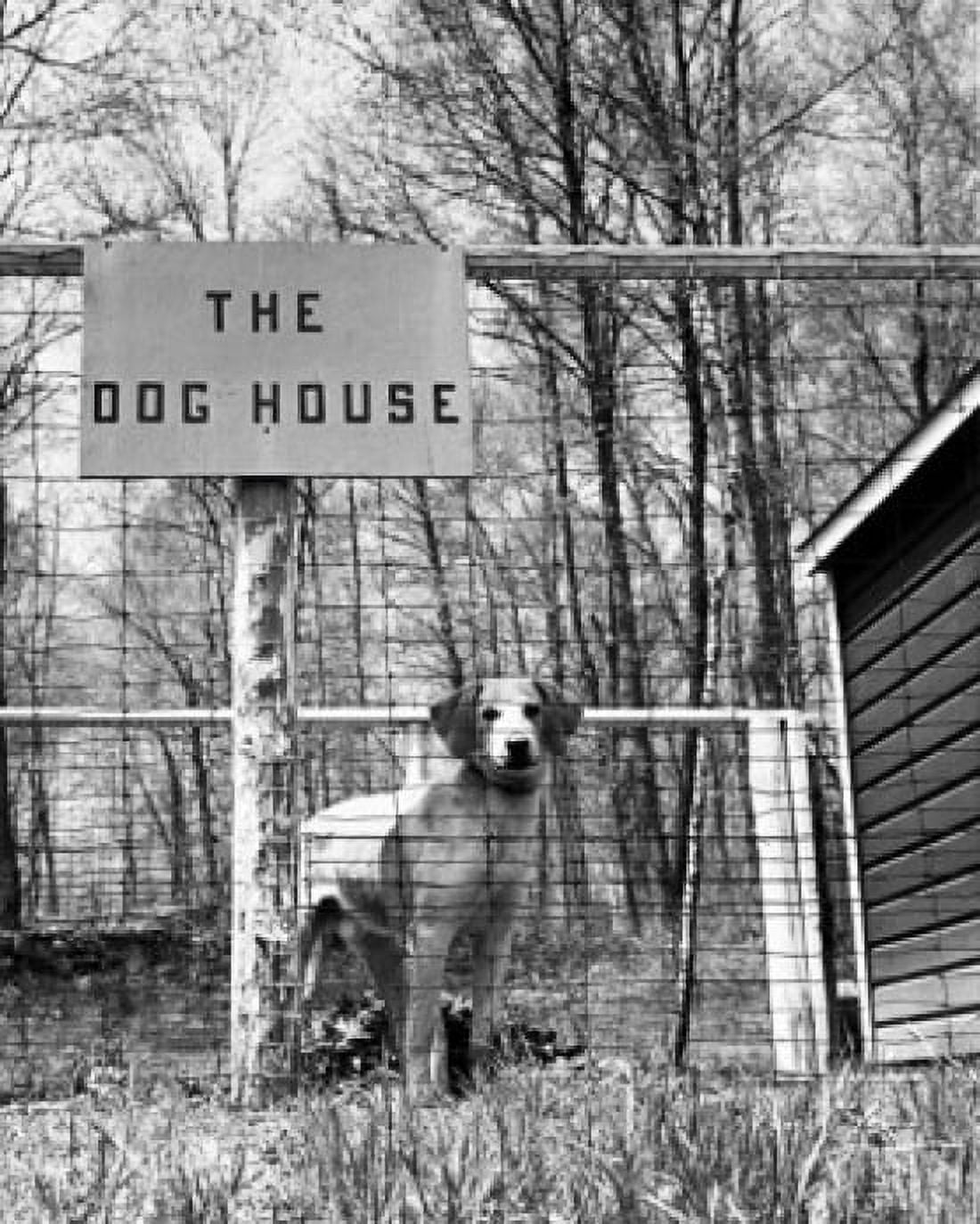 Dog standing in a kennel Canvas Art - (24 x 36)