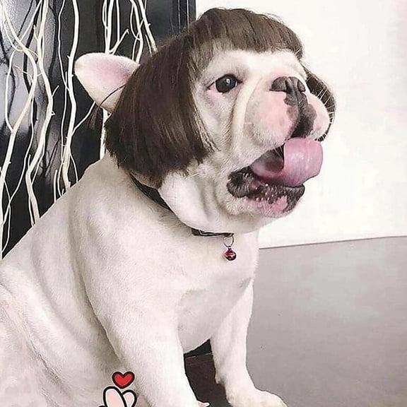 Dog wig, Funny Trimmable Pet Costume Wig with Adjustable Elastic Bands, Fits Small, Medium, Large Dogs and Cats, Halloween Christmas Party Cosplay Accessory